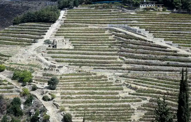 عن البلدة